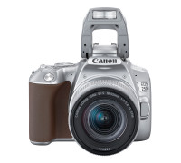 Фотоаппарат Canon EOS 250D Kit EF-S 18-55 IS STM Silver