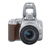 Фотоаппарат Canon EOS 250D Kit EF-S 18-55 IS STM Silver