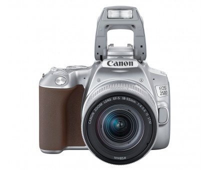 Фотоаппарат Canon EOS 250D Kit EF-S 18-55 IS STM Silver