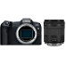 Фотоаппарат Canon EOS R8 kit RF 24-105 F4-7.1 IS STM