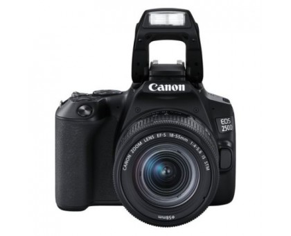 Canon EOS 250D Kit EF-S 18-55 IS STM Black